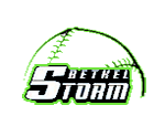 Bethel Storm Softball logo