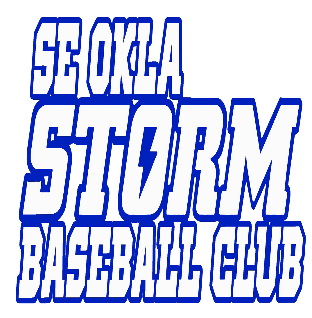 Storm Baseball logo